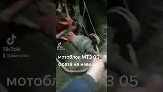 мотоблок МТЗ