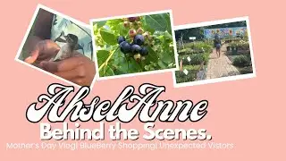 #BlueberryPlanting: How We Bought Plants & Ducks Enjoyed the Pool | Vlog| Ahsel Anne BTS