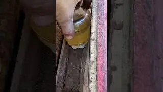 Весняна подкормка пчол
