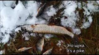 Learn Russian fishing-related vocabulary  