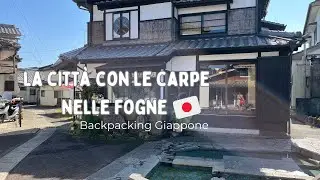 La città delle carpe e samurai 🇯🇵 #viaggioingiappone