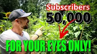 Thank You! 50,000 Subscribers | This one is for ONLY You! #primiere  #Thankyou