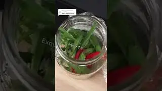 La vida de moscardo