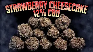 STRAWBERRY CHEESECAKE 12%CBD | TheCBDFlowerShop
