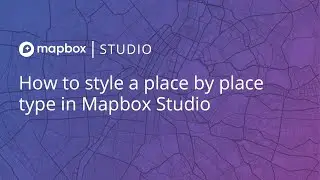 How to style an element (place) by attribute (place type) in Mapbox Studio