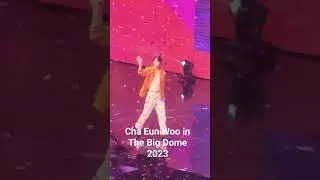 Cha Eun Woo In The Big Dome 2023