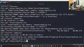[සිංහලෙන්]  Vulnhub : Dripping Blues: 1 completed with a undiscovered secret.zip😒😒😒