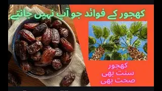The queens of the Fruits (کھجور کے فوائد جو آپ نہیں جانتے ہونگے)#youtubeshorts