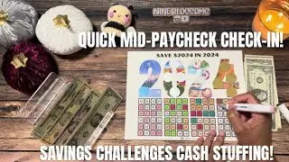 Mid-Paycheck Check-In: Staying on Track or Falling Behind? | Savings Challenges Cash Stuffing