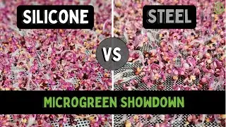 Silicone vs Steel: Which Reusable Grow Medium is Best for Microgreens?