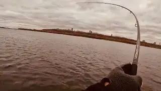 Опять  ушёл ТРОФЕЙ-СУДАК.