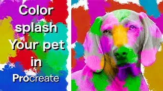 color your pet in PROcreate