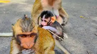 My Video 14