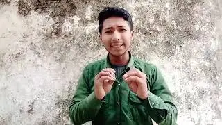 amara ki kach kori