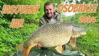 NOVINKY ACTIVE BALANCE BOILIES mi priniesli OSOBAKA 🔥🔥🔥