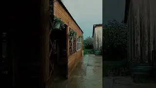 ⛈️💗 #природа #nature  #садмечты #flowers #garden #дача #gardening #грозы #гроза #дождь #дождик