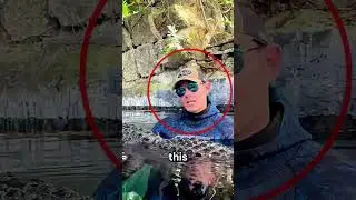 You're Wrong About Alligators 