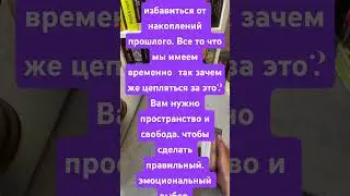 Карта дня 15.08.24 #sorts
