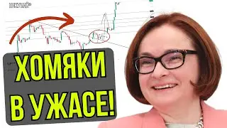 Я ЗАКУПАЮСЬ. АКЦИИ ДОЛЛАР ПРОГНОЗ НА СЕГОДНЯ!
