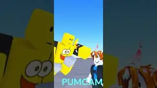 Admin Commands (Roblox Meme) 