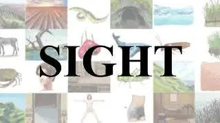Picta Dicta | Learn Latin Vocab from every angle!