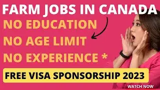 FARM JOBS IN CANADA | 800+ VACANCIES | NO AGE LIMIT| NO EXPERIENCE | NO DEGREE | NO FEE 