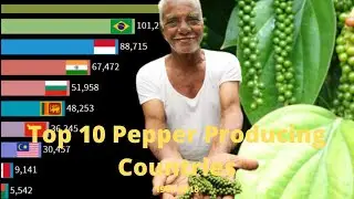 Top Pepper Producing Countries in the World 1961-2018