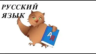 Русский язык. Содержательная часть. Тестирование. Бакалавриат