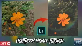 Moody Flower tutorial in  Lightroom| Lightroom Editing Tutorial | Moody Flower Editing Tutorial