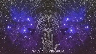 Reiven - Salvia Divinorum