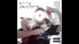 Jxcksxn Spxin - FckItUp (Official Audio)