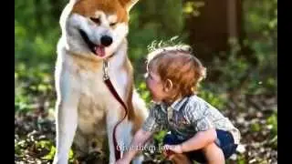 The Carpenters - "Bless the Beasts and the Children"  Lyrics on screen