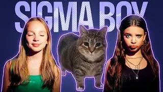 SIGMA BOY x CATS