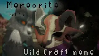 Meteorite meme | Wild Craft | collab with @9sz75