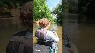 Bull Shad River Bass!! #fishing #riverfishing #bassfishing