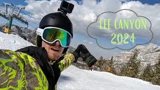 Skiing 