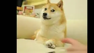 Doggo dance