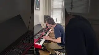 My rendition of Für Elise by Beethoven #classicalpiano #beethoven #furelise #piano