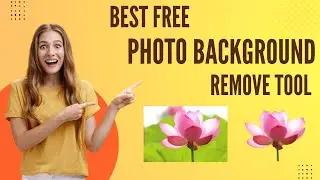 Best Free Photo Background  Remove Tool
