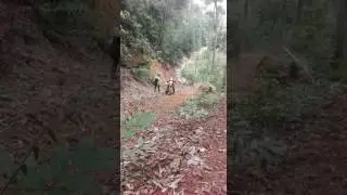 Fun ride lata mentagan.. 2k17 felcra sri makmur.(