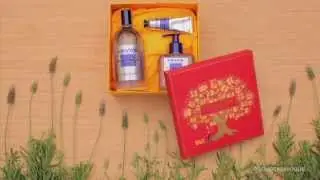 Casa Vogue + Loccitane Brasil