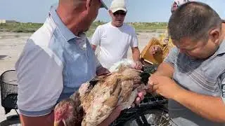 6-ИЮЛ/2025/ШЫМБАЙ ТАУЫК БАЗАРЫ/ДЕМ БЕРМЕС ТАУЫК БАЗАР