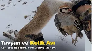 Rabbit and Mackerel Hunting in the Snowy Mountains | A Challenging Hunting Day