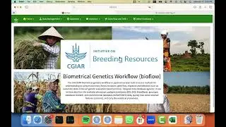 #9 Breeding Analytics Pipeline: Calculating Optimal Crosses