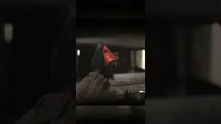Mw 2019 