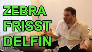 ZEBRA FRISST DELFIN - Kazim Akboga
