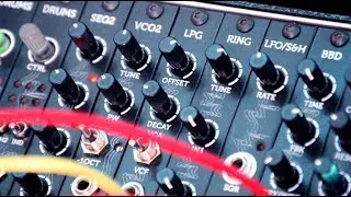 Erica Synths-Pico Ring and Pico friends (Pico VCO2, Pico DRUMS, PicoVCF3, Pico TRIGG )