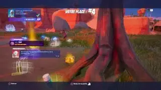 fortnite fr (cheat?)