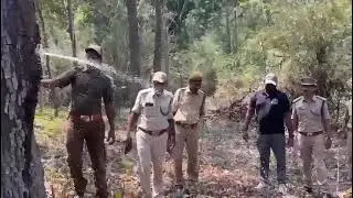 water coming out of Nallamadi tree
