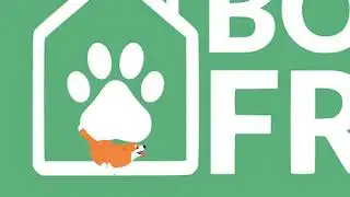 Meet the dogs and volunteers of Born Free Pet Shelter